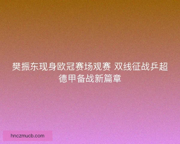 樊振东现身欧冠赛场观赛 双线征战乒超德甲备战新篇章